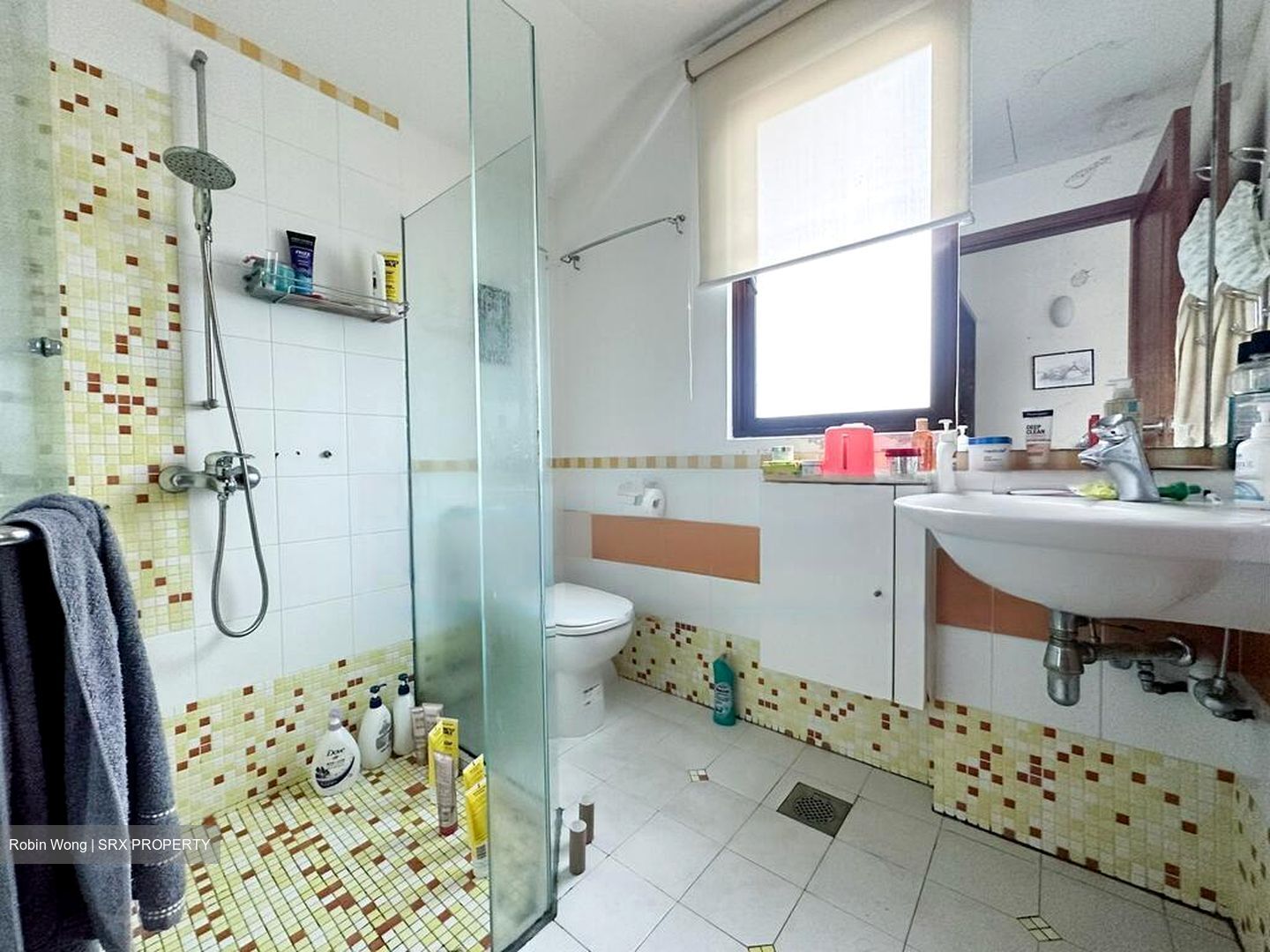 Seletar Hills Estate (D28), Semi-Detached #461336781